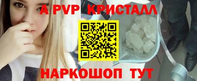 индика Шелехов