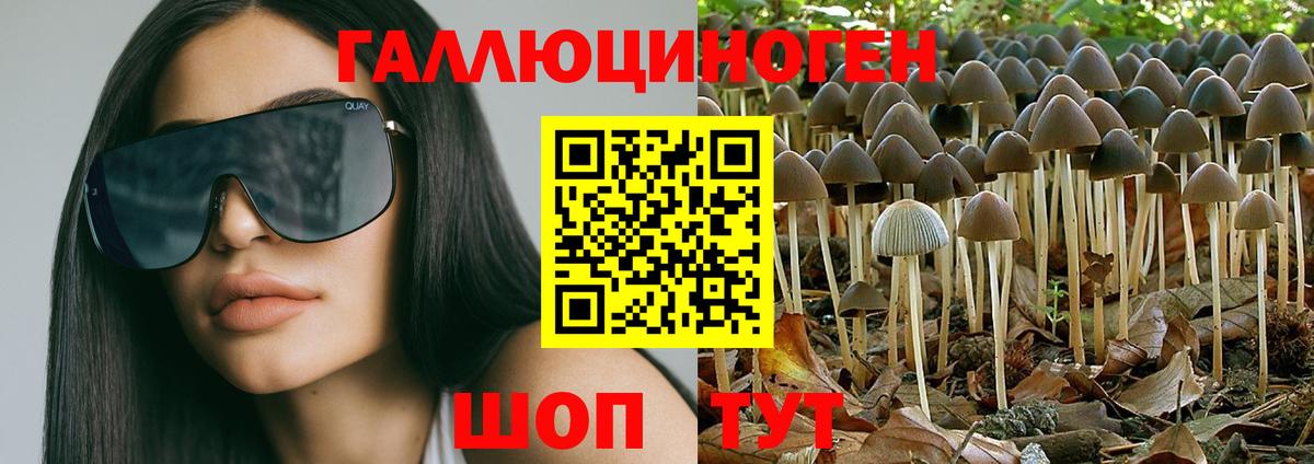 Галлюциногенные грибы GOLDEN TEACHER Тайшет