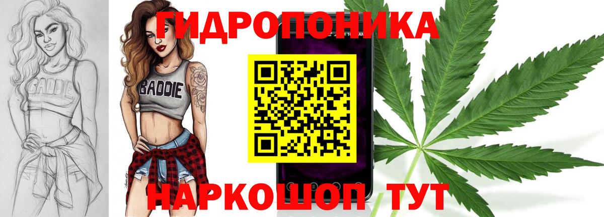 Бошки Шишки гибрид Тайшет